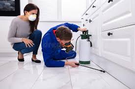 Best Fumigation Services  in Hahira, GA